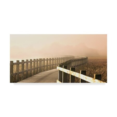 Trademark Fine Art Leif Londal 'The Path Gets Brighter' Canvas Art, 10x19 1X07786-C1019GG